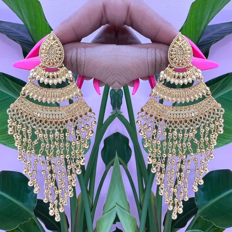 Zamia